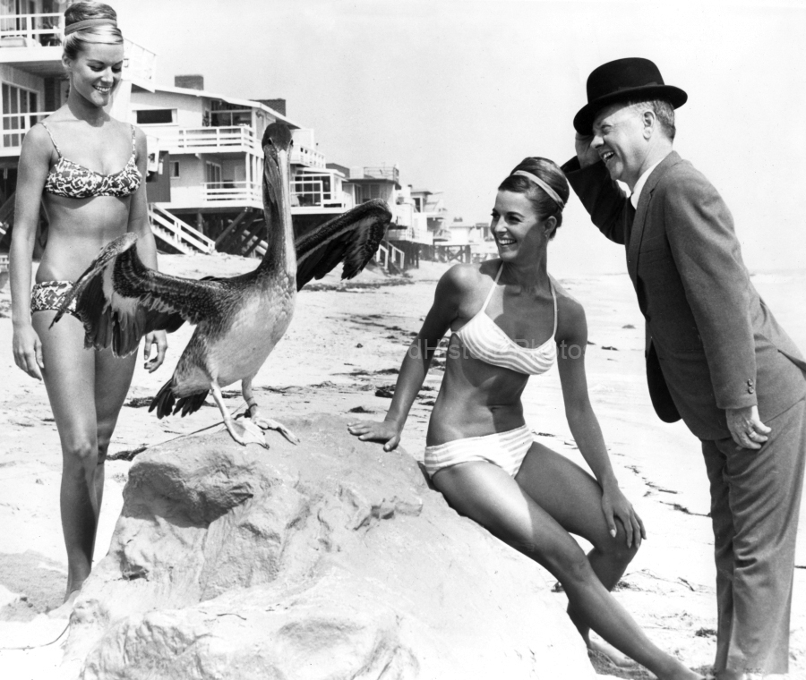 Mickey Rooney 1965 WM.jpg